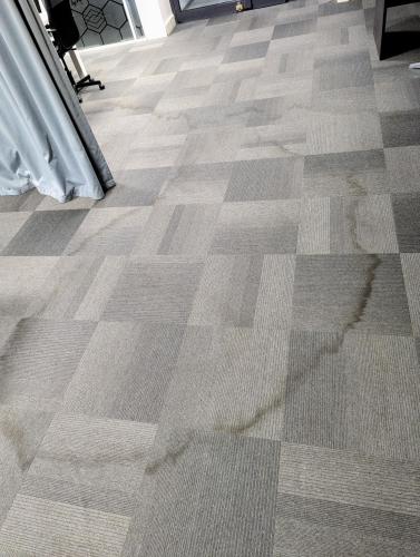 Shampoing moquette