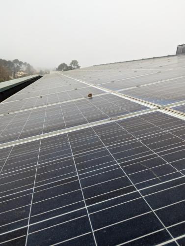 Nettoyage panneaux photovoltaïques